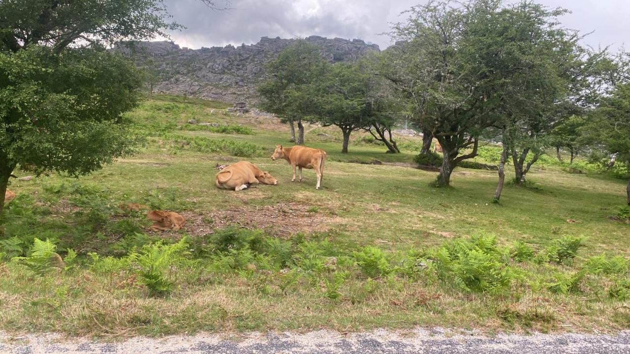 Geres River - Apartamento Na Natureza Kültér fotó